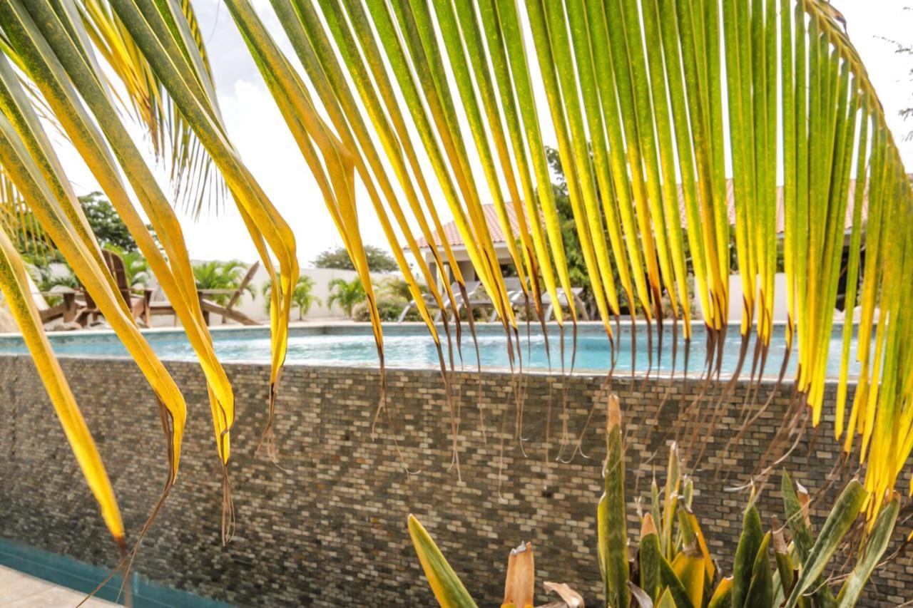 Abc Lodges Curacao يلمستاد المظهر الخارجي الصورة