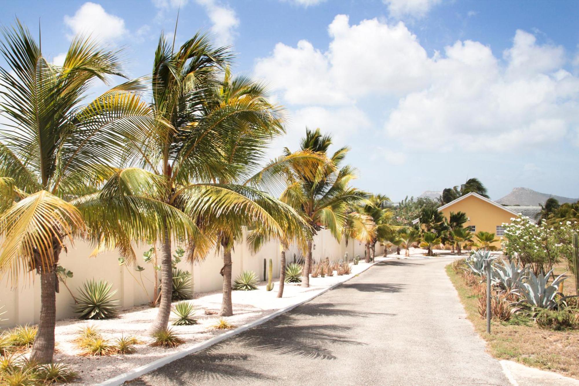 Abc Lodges Curacao يلمستاد المظهر الخارجي الصورة