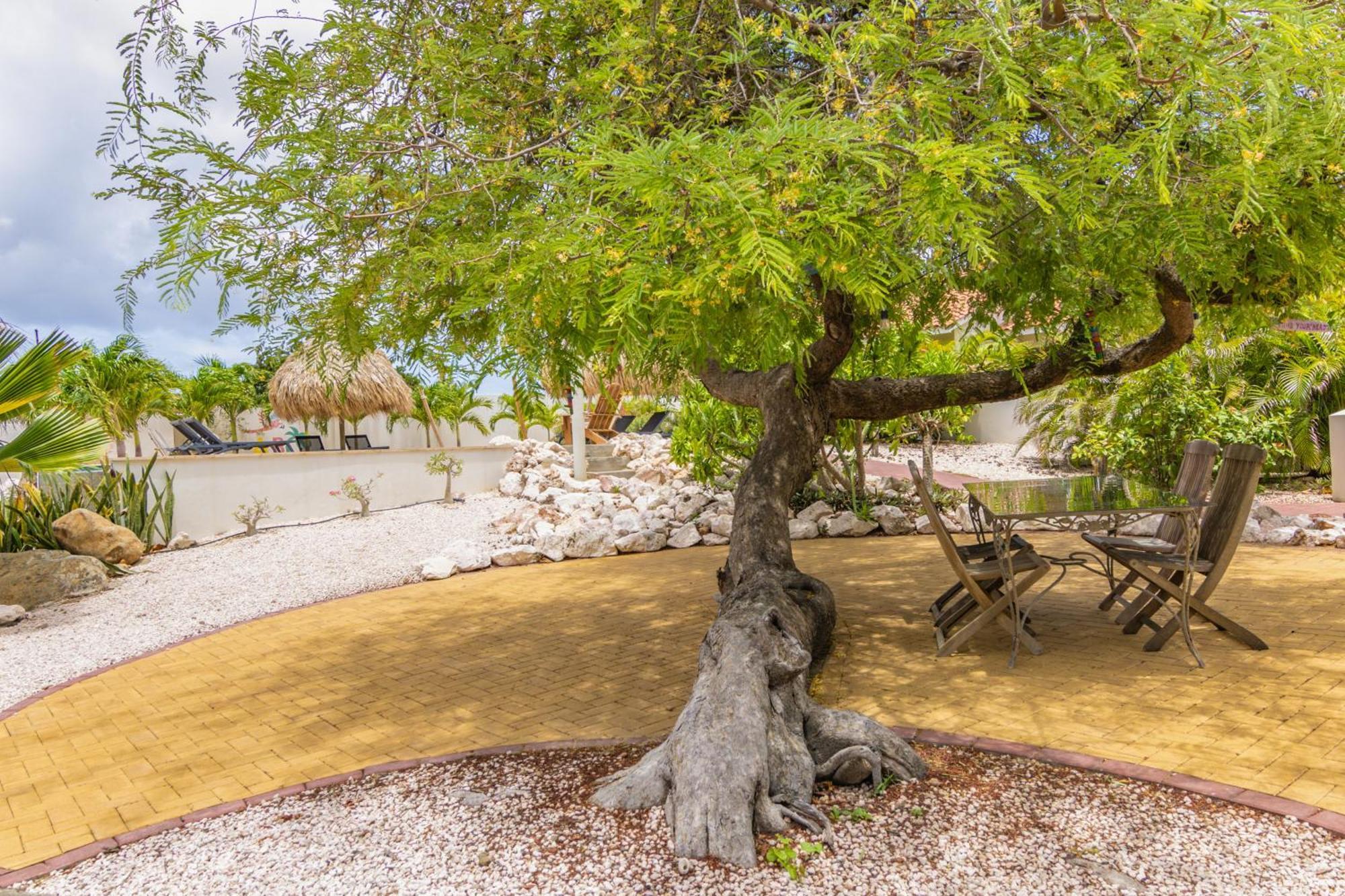 Abc Lodges Curacao يلمستاد المظهر الخارجي الصورة