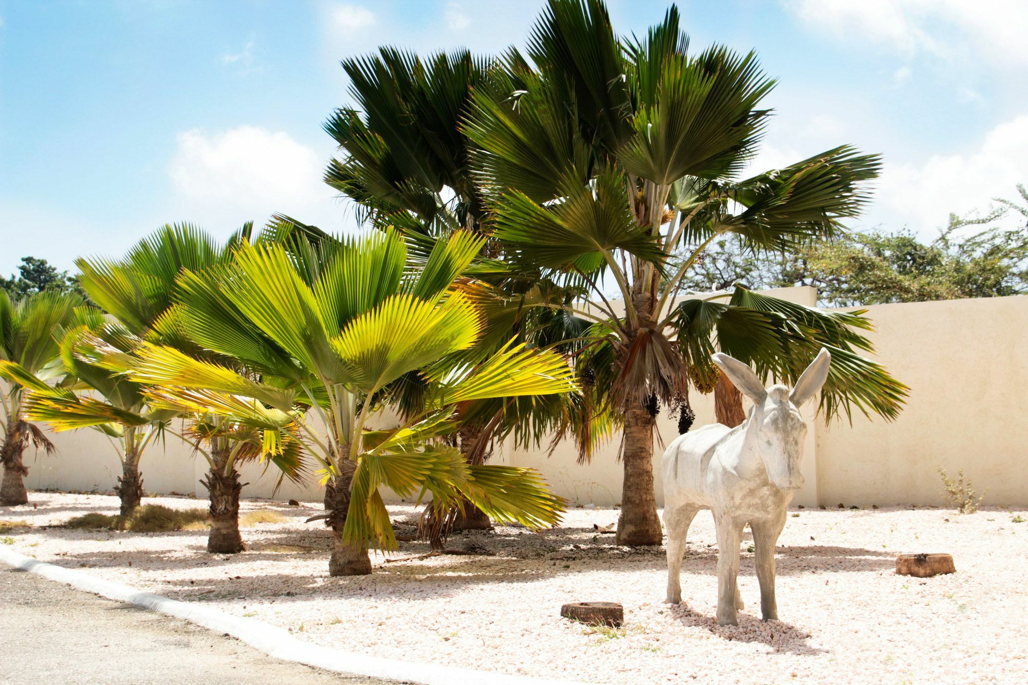 Abc Lodges Curacao يلمستاد المظهر الخارجي الصورة
